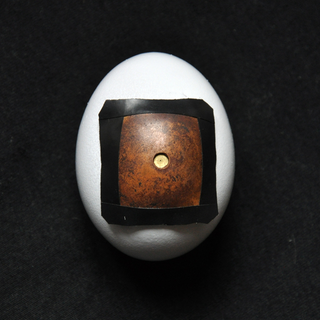 Illustration for article titled How to build a pinhole camera inside an egg